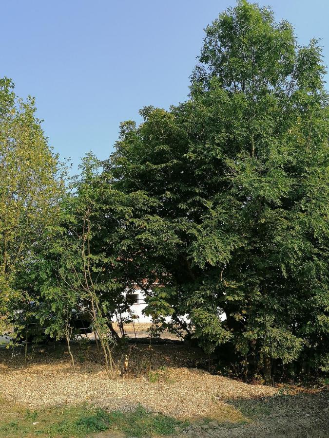 Campingplatz Weides *